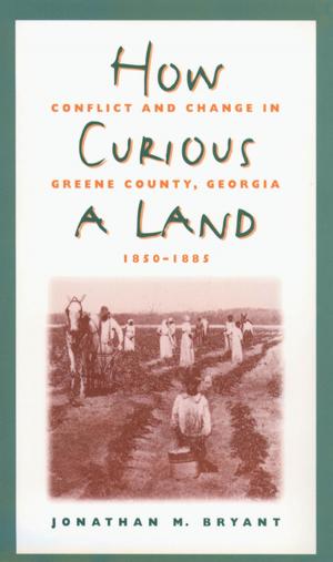 bigCover of the book How Curious a Land by 