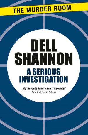 Cover of the book A Serious Investigation by Tim Earnshaw
