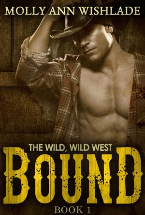 Cover of the book Bound: A sizzling hot Western romance by Cathy Glass