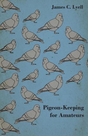 Cover of the book Pigeon-Keeping for Amateurs - A Complete and Concise Guide to the Amateur Breeder of Domestic and Fancy Pigeons by Joseph A. Altsheler