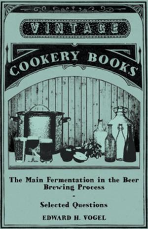 Cover of the book The Main Fermentation in the Beer Brewing Process - Selected Questions by Eva March Tappan