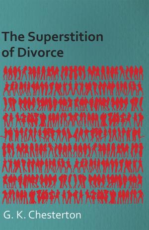 Book cover of The Superstition of Divorce