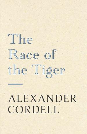 Cover of the book The Race of the Tiger by Mandasue Heller