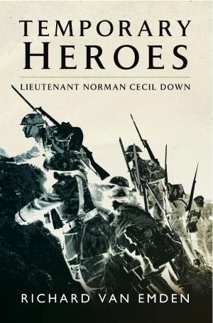 Cover of the book Temporary Heroes by Richard Freemen