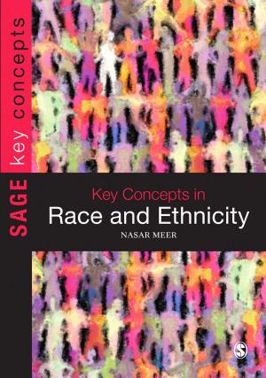 Cover of the book Key Concepts in Race and Ethnicity by Eugenia R. Mora-Flores