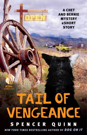 Cover of the book Tail of Vengeance by Zane