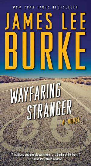 Cover of the book Wayfaring Stranger by Joe McGinniss, Jr. Jr.