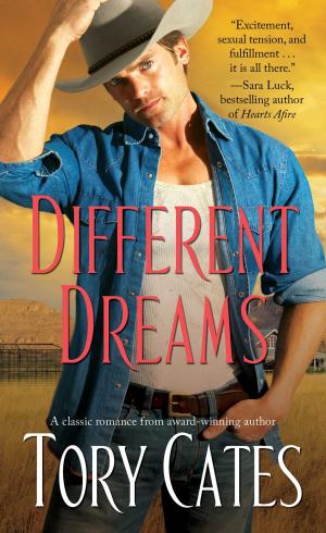 Cover of the book Different Dreams by Cherry Adair