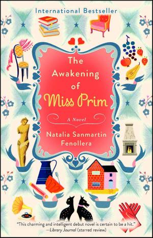 Cover of the book The Awakening of Miss Prim by Sheldon Kopp