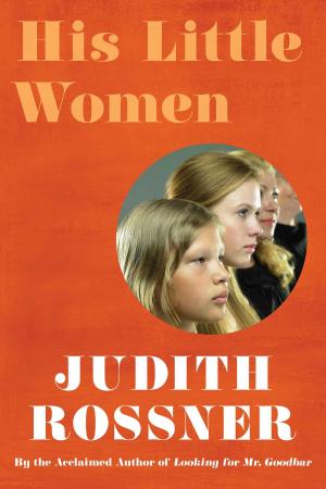 Cover of the book His Little Women by James Lee Burke