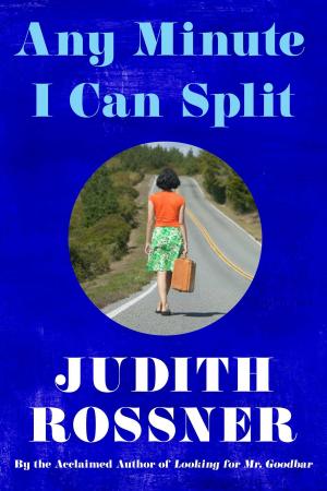 Cover of the book Any Minute I Can Split by Lillian Faderman