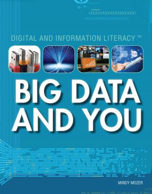 Cover of the book Big Data and You by Megan Fromm, Ph.D.
