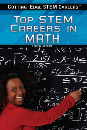 Cover of the book Top STEM Careers in Math by Peter Michalski, Justin Hocking