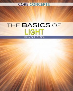 Cover of the book The Basics of Light by Bridget Lim, Corona Brezina