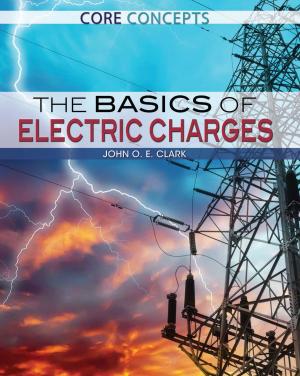 Cover of the book The Basics of Electric Charges by Amie Jane Leavitt