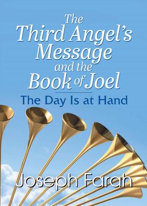 Cover of the book The Third Angel's Message and the Book of Joel by Brian Byrne