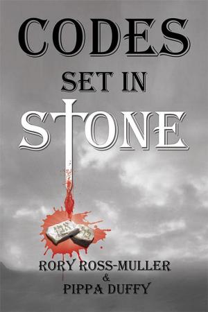 Cover of the book Codes Set in Stone by Darren Carter