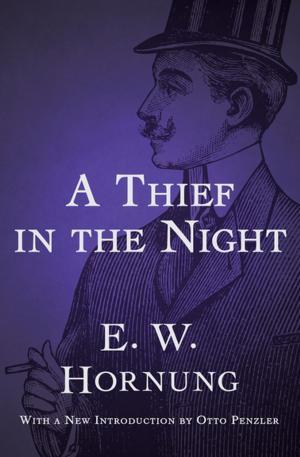 Cover of the book A Thief in the Night by Eri Nelson