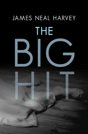 bigCover of the book The Big Hit by 