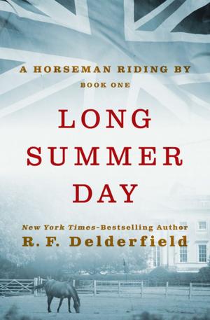 Cover of the book Long Summer Day by Gillian White