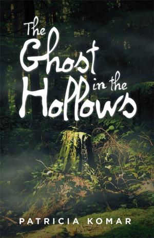 Cover of the book The Ghost in the Hollows by S.C. Ryder