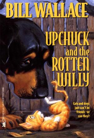 Cover of the book Upchuck and the Rotten Willy by Franklin W. Dixon