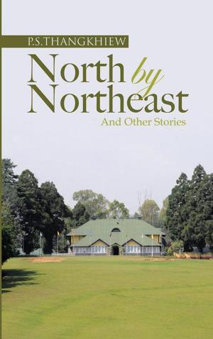 Cover of the book North by Northeast and Other Stories by Usha William Banerjee