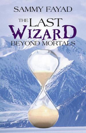 Cover of the book The Last Wizard by M Todd Gallowglas