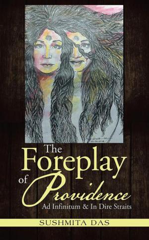 Cover of the book The Foreplay of Providence by SLN, Mithila Kannan