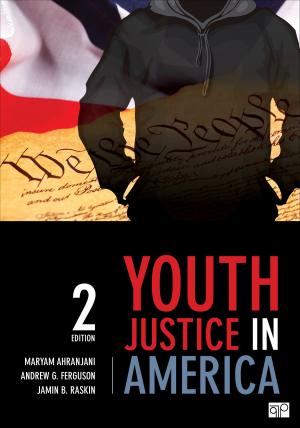 Cover of the book Youth Justice in America by Frances Simpson, Jane A Medwell