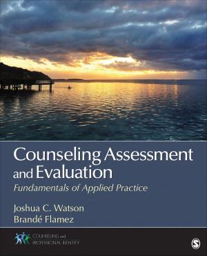bigCover of the book Counseling Assessment and Evaluation by 