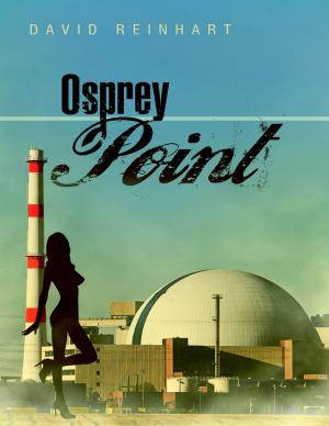 Cover of the book Osprey Point by Fr. Victor Abimbola Amole
