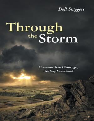 Cover of the book Through the Storm: Overcome Teen Challenges, 30 Day Devotional by Dr. Emmanuel Asoluka Ihejirika