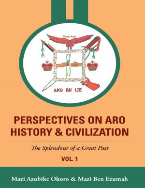 Cover of the book Perspectives On Aro History & Civilization: The Splendour of a Great Past by James L. Hale