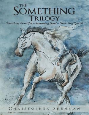 Cover of the book The Something Trilogy: Something Beautiful – Something Good – Something Special by Josef Tsau