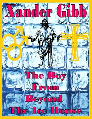 Cover of the book The Boy from beyond The Ice House by Chris Jefferies