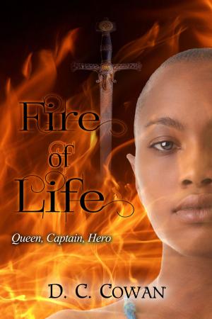 Cover of the book Fire of Life by Marjorie Tapley-Olson