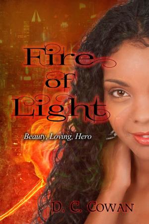Cover of the book Fire of Light by Lisa Christie
