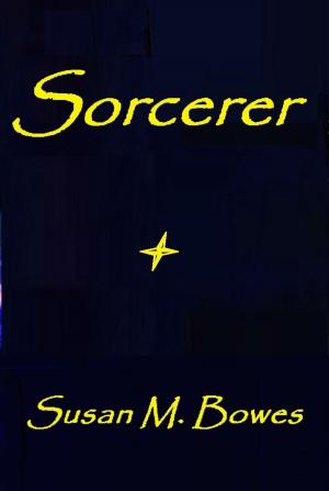 Cover of the book Sorcerer by Kristin Zambucka