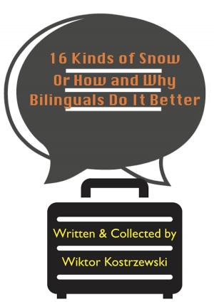 Book cover of 16 Kinds Of Snow, Or How And Why Bilinguals Do It Better