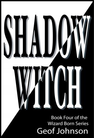 Cover of the book Shadow Witch by Randy E. Blevins