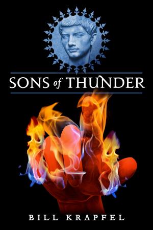 Cover of the book Sons of Thunder by Liviu Tatar