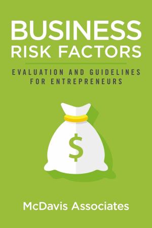 Cover of the book Business Risk Factors: Evaluation and Guidelines for Entrepreneurs by Magda Jozsa