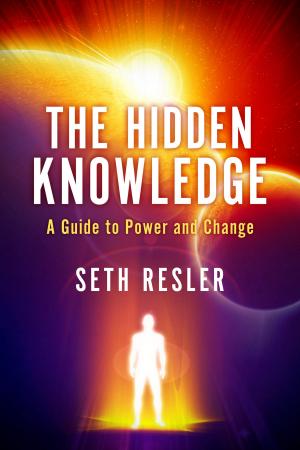 Cover of the book The Hidden Knowledge by Kristin Lee