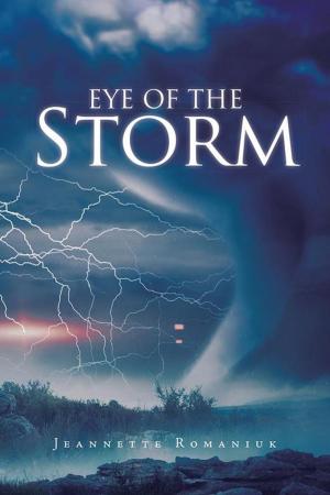 Cover of the book Eye of the Storm by Chris Hasney, Jerry Pottier