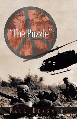 Cover of the book "The Puzzle" by Vivian Hollis Mayne