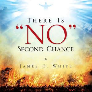 bigCover of the book There Is "No" Second Chance by 