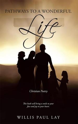 Cover of the book Pathways to a Wonderful Life by Dylan Dodson