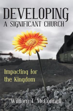 Cover of the book Developing a Significant Church by James A. Rousseau Jr.