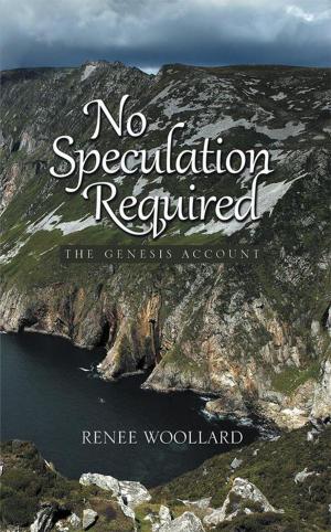 Cover of the book No Speculation Required by Gail Ann Wisdom